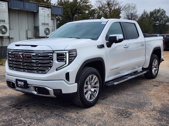 2025 GMC Sierra 1500 Vehicle Photo in PARIS, TX 75460-2116