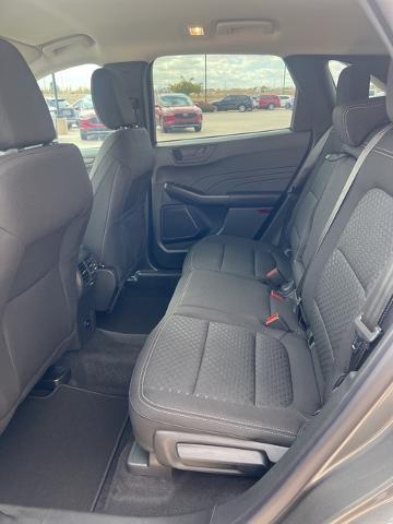 2024 Ford Escape Vehicle Photo in Winslow, AZ 86047-2439