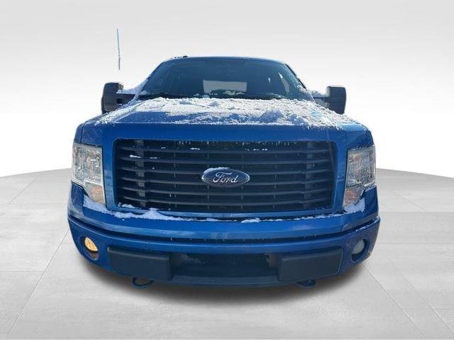 2014 Ford F-150 Vehicle Photo in MEDINA, OH 44256-9631