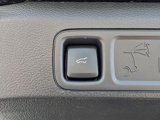 2024 Ford Expedition Vehicle Photo in DANBURY, CT 06810-5034