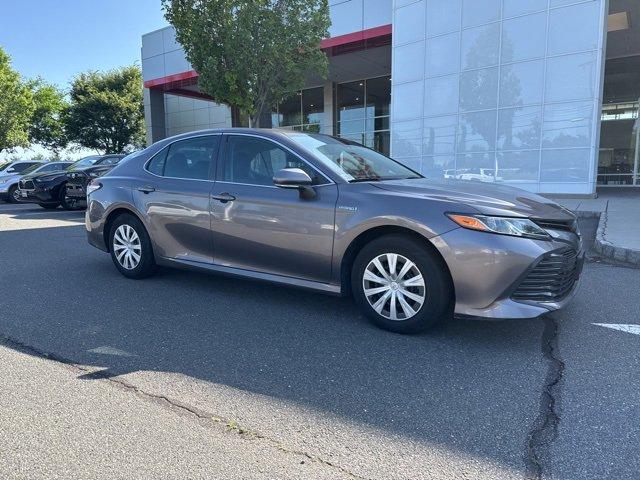 2019 Toyota Camry Vehicle Photo in Flemington, NJ 08822