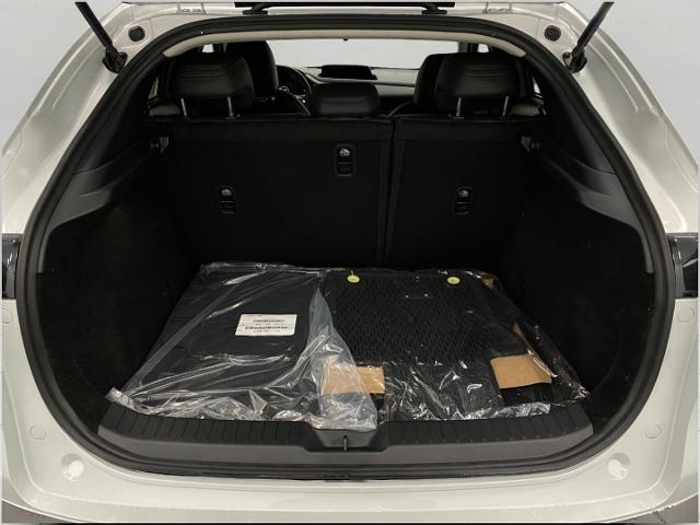 2025 Mazda CX-30 Vehicle Photo in Appleton, WI 54913