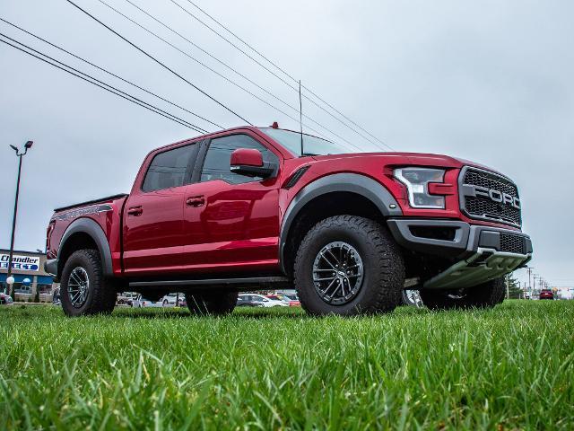 2019 Ford F-150 Vehicle Photo in MADISON, IN 47250-1611