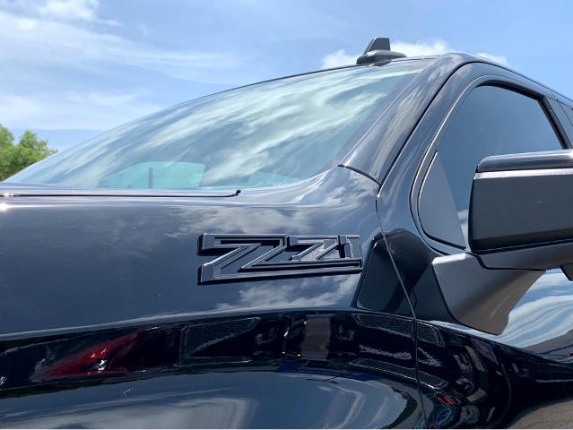 2025 Chevrolet Silverado 1500 Vehicle Photo in BEAUFORT, SC 29906-4218
