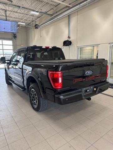 2023 Ford F-150 Vehicle Photo in Peoria, IL 61615
