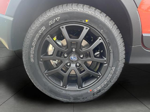 2025 Subaru Crosstrek Vehicle Photo in Oshkosh, WI 54904