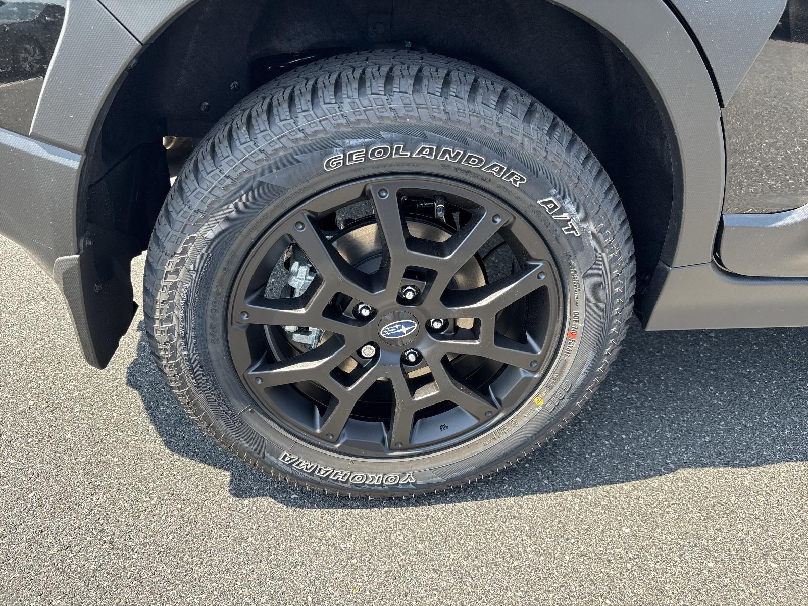 2025 Subaru Crosstrek Vehicle Photo in Mechanicsburg, PA 17050