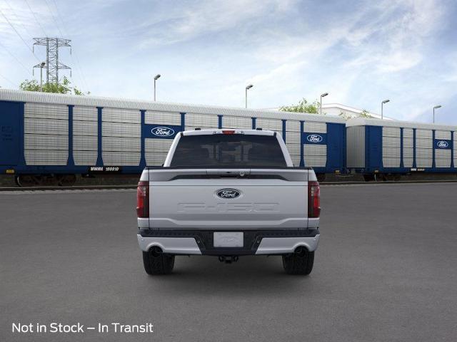 2025 Ford F-150 Vehicle Photo in Weatherford, TX 76087
