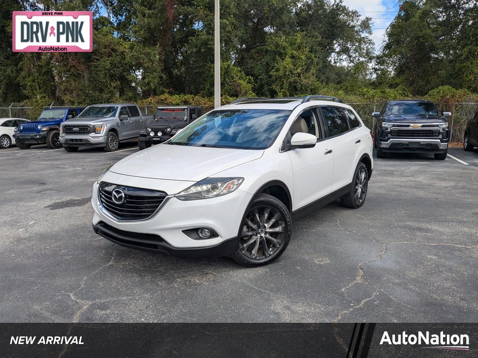 2015 Mazda CX-9 Vehicle Photo in Panama City, FL 32401