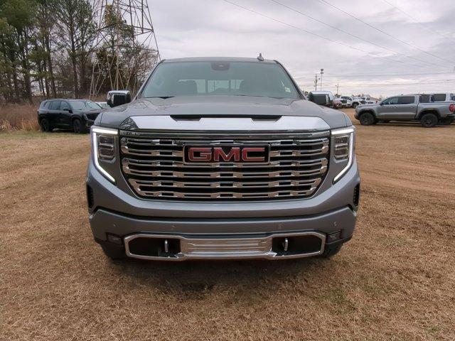 2025 GMC Sierra 1500 Vehicle Photo in ALBERTVILLE, AL 35950-0246