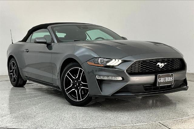 2022 Ford Mustang Vehicle Photo in Grapevine, TX 76051