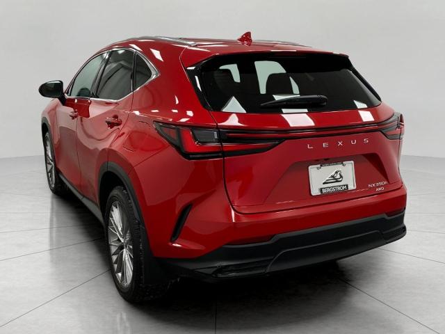 2025 Lexus NX 350h Vehicle Photo in Appleton, WI 54913