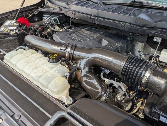 2023 Ford F-150 Vehicle Photo in San Antonio, TX 78209
