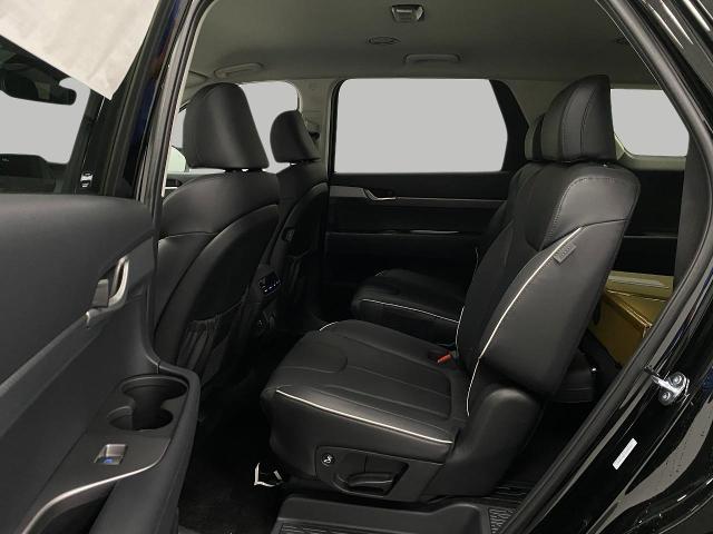 2025 Hyundai PALISADE Vehicle Photo in Appleton, WI 54913