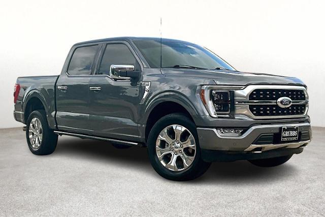 2023 Ford F-150 Vehicle Photo in San Antonio, TX 78230