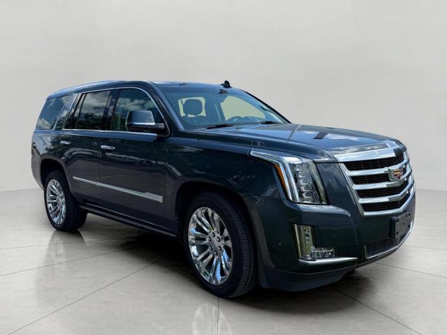 2019 Cadillac Escalade Vehicle Photo in MADISON, WI 53713-3220