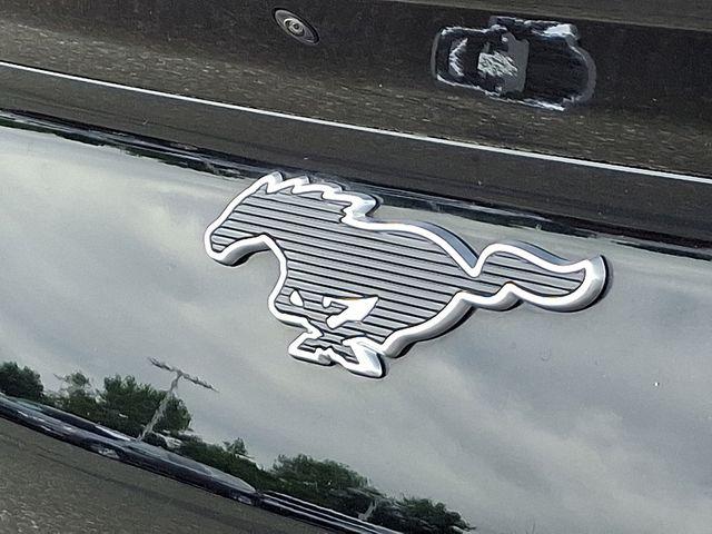 2021 Ford Mustang Mach-E Vehicle Photo in DANBURY, CT 06810-5034
