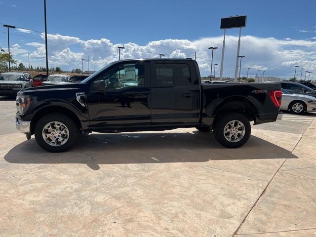 2023 Ford F-150 Vehicle Photo in Winslow, AZ 86047-2439