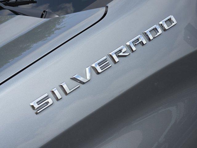 2023 Chevrolet Silverado 1500 Vehicle Photo in Decatur, TX 76234