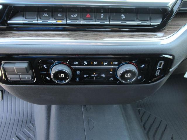 2025 Chevrolet Silverado 1500 Vehicle Photo in LEESBURG, FL 34788-4022