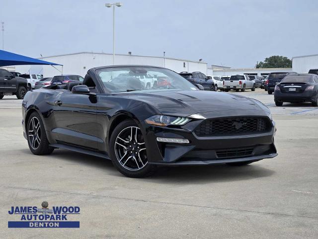 2022 Ford Mustang Vehicle Photo in DENTON, TX 76210-9321