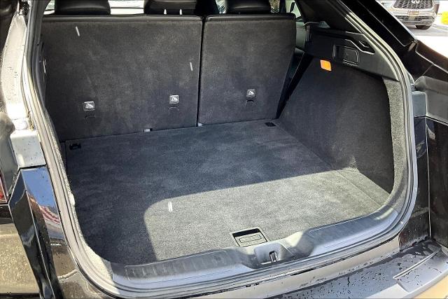2024 INFINITI QX55 Vehicle Photo in San Antonio, TX 78230
