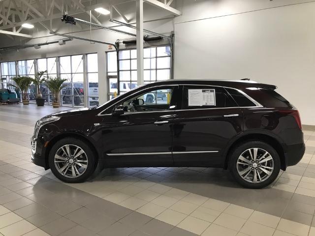 Used 2021 Cadillac XT5 Premium Luxury with VIN 1GYKNDRS1MZ194992 for sale in Mankato, Minnesota