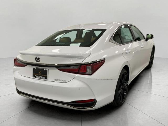 2025 Lexus ES 300h Vehicle Photo in Appleton, WI 54913