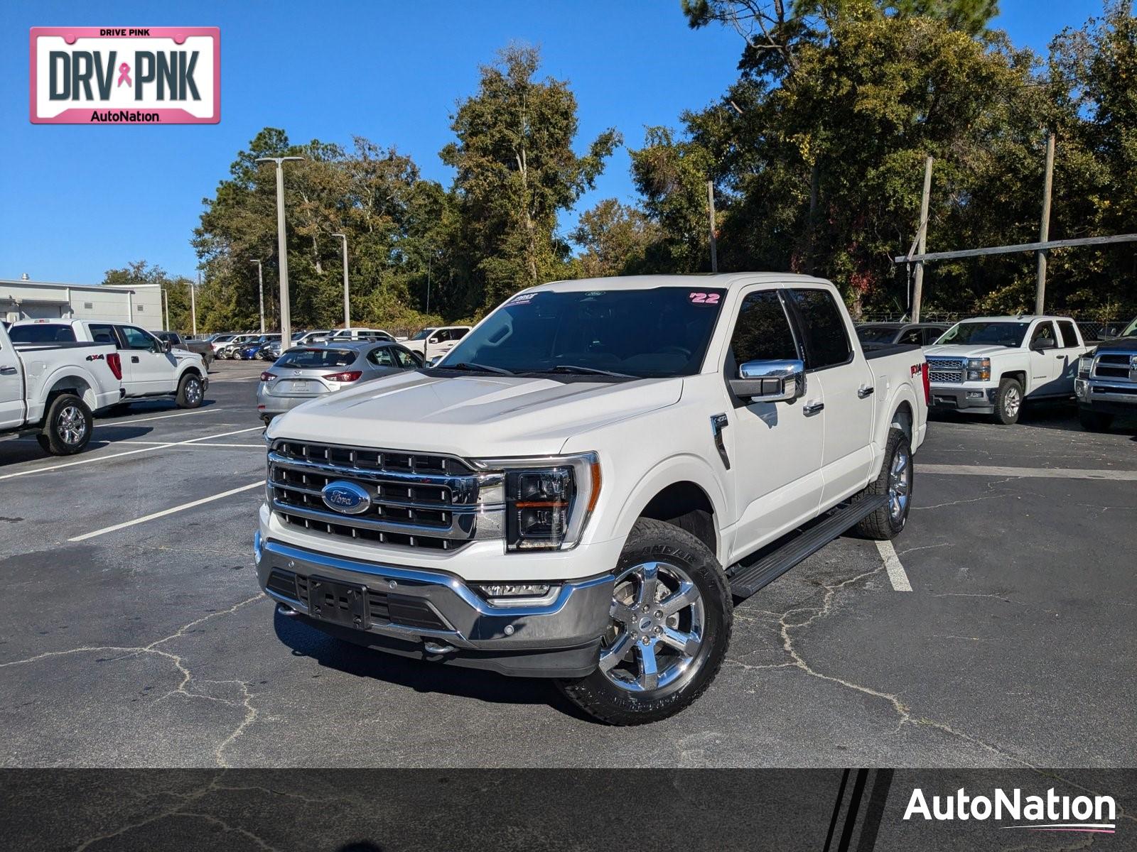 2022 Ford F-150 Vehicle Photo in Panama City, FL 32401