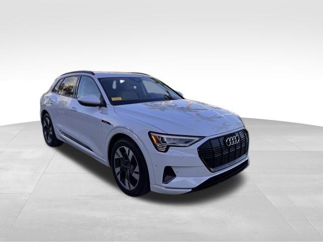 2021 Audi ETRON Vehicle Photo in DELRAY BEACH, FL 33483-3294