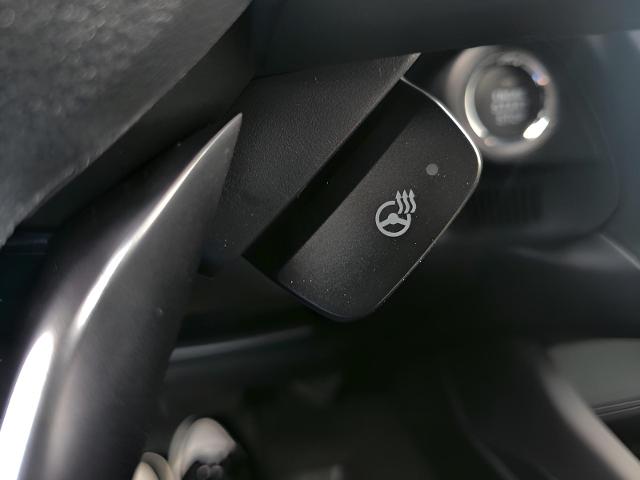 2025 Subaru Forester Vehicle Photo in Green Bay, WI 54304