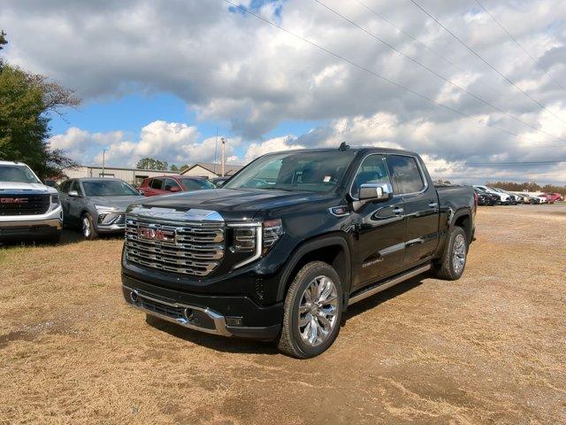 2025 GMC Sierra 1500 Vehicle Photo in ALBERTVILLE, AL 35950-0246