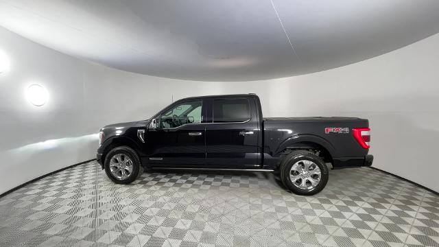 2022 Ford F-150 Vehicle Photo in GILBERT, AZ 85297-0402