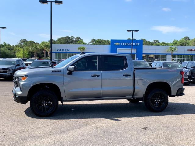 2025 Chevrolet Silverado 1500 Vehicle Photo in BEAUFORT, SC 29906-4218