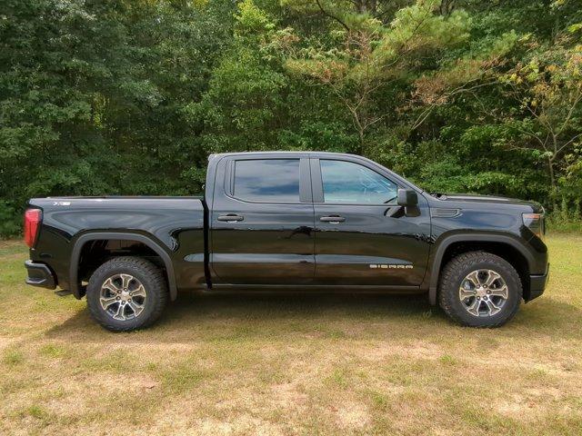 2024 GMC Sierra 1500 Vehicle Photo in ALBERTVILLE, AL 35950-0246