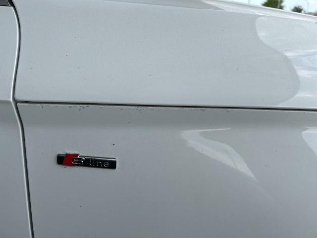 2024 Audi Q5 Vehicle Photo in San Antonio, TX 78230