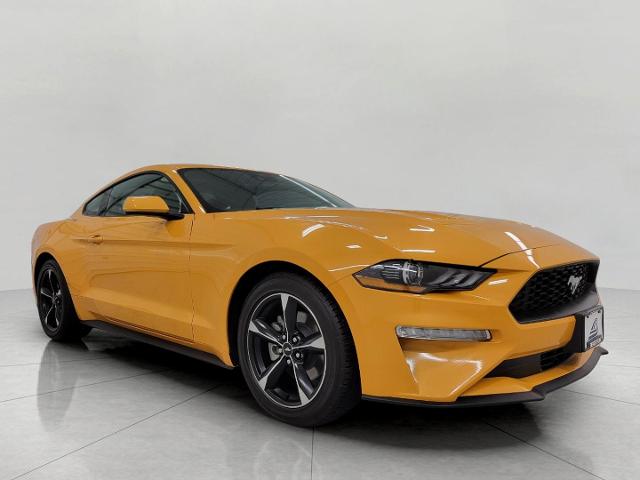 2022 Ford Mustang Vehicle Photo in Neenah, WI 54956