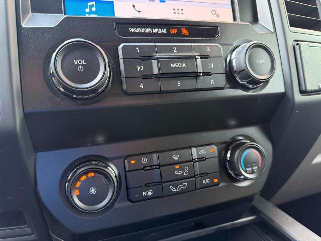 2019 Ford F-150 Vehicle Photo in Appleton, WI 54914