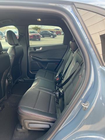 2025 Ford Escape Vehicle Photo in Winslow, AZ 86047-2439