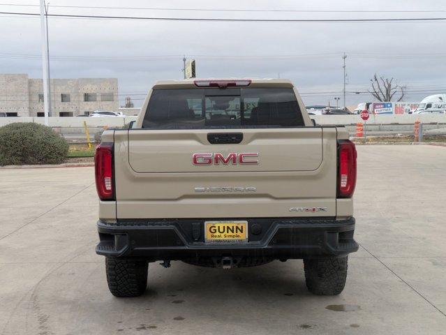 2023 GMC Sierra 1500 Vehicle Photo in SELMA, TX 78154-1459