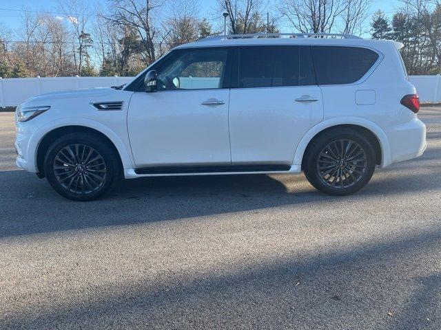 2024 INFINITI QX80 Vehicle Photo in Willow Grove, PA 19090