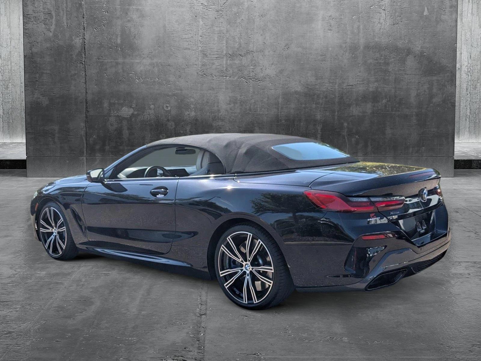 2019 BMW M850i xDrive Vehicle Photo in Wesley Chapel, FL 33544