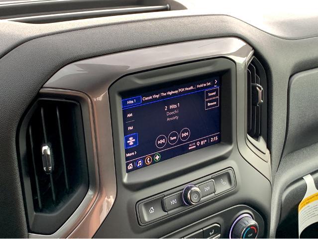 2025 Chevrolet Silverado 1500 Vehicle Photo in BEAUFORT, SC 29906-4218