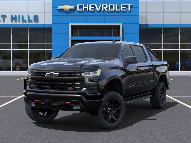 2025 Chevrolet Silverado 1500 Vehicle Photo in Roslyn, NY 11576