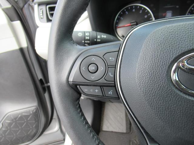 2021 Toyota RAV4 Vehicle Photo in LEESBURG, FL 34788-4022