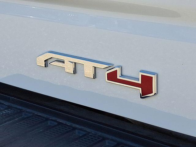 2024 GMC Sierra 1500 Vehicle Photo in DANBURY, CT 06810-5034
