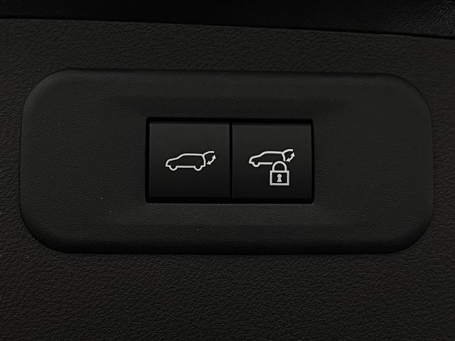 2025 Lexus NX 350h Vehicle Photo in Appleton, WI 54913