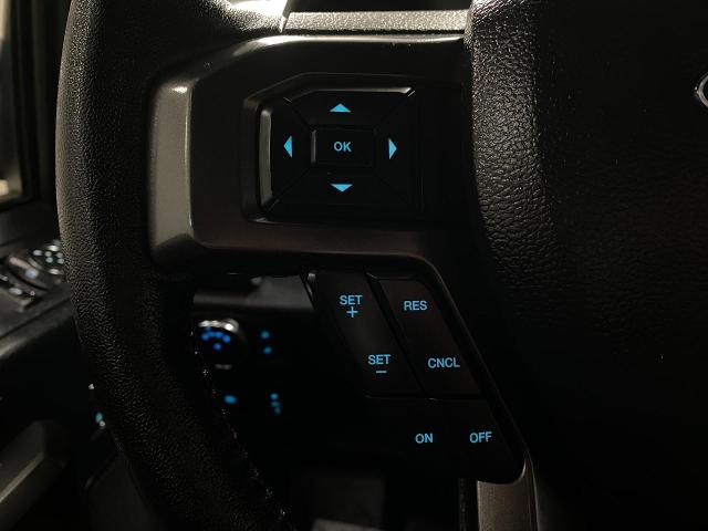 2020 Ford F-150 Vehicle Photo in Appleton, WI 54913
