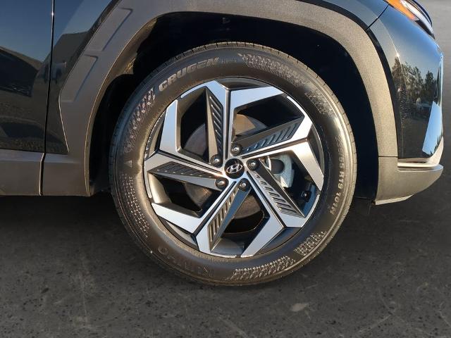2023 Hyundai TUCSON Vehicle Photo in Brunswick, GA 31525