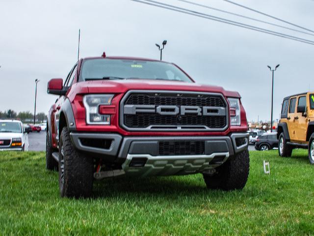 2019 Ford F-150 Vehicle Photo in MADISON, IN 47250-1611